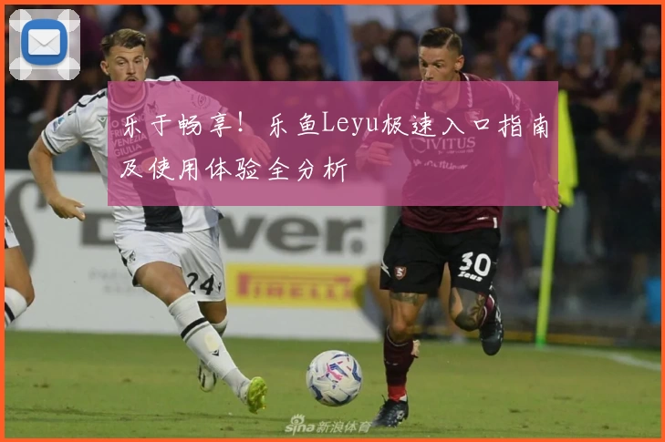 乐于畅享！乐鱼Leyu极速入口指南及使用体验全分析