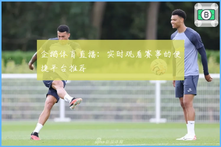 企鹅体育直播：实时观看赛事的便捷平台推荐
