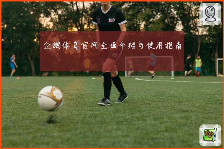 企鹅体育官网全面介绍与使用指南