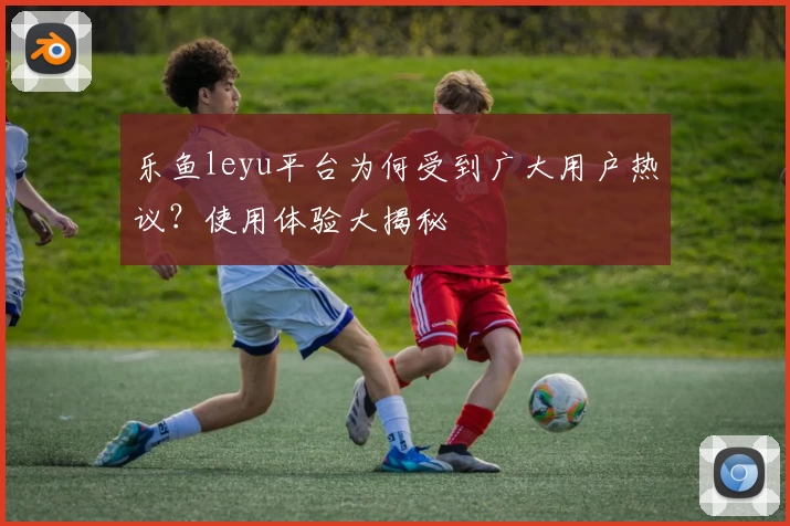 乐鱼leyu平台为何受到广大用户热议？使用体验大揭秘