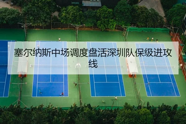 sai-er-na-si-zhong-chang-diao-du-pan-huo-shen-zhen-dui-bao-ji-jin-gong-xian-2-130.jpg